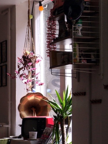 Fenêtre de café rock tendance pousses germées et plats végétaliens