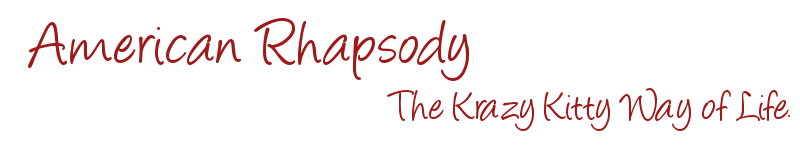 American Rhapsody