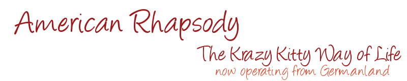 American Rhapsody