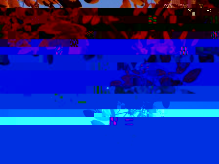 DSCF0011a.jpg